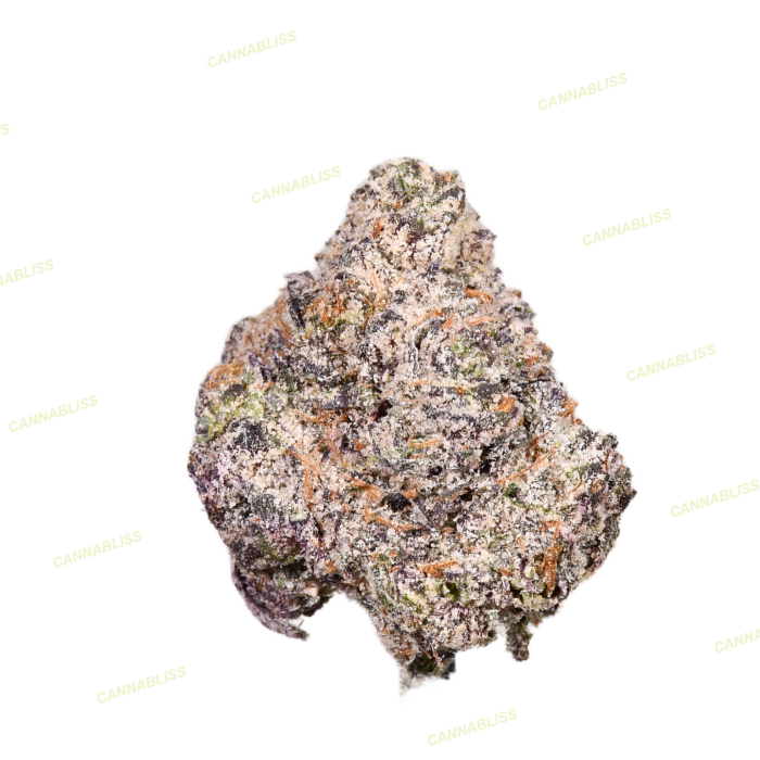 Gumbo Blaze (Top Exotic) - Image 1