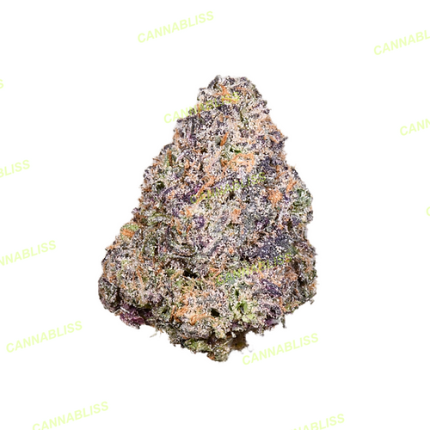 Gelato Resin