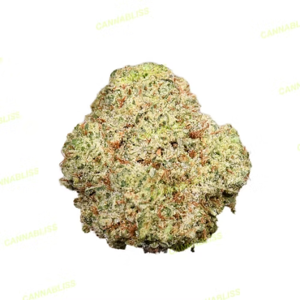Gorilla Glue